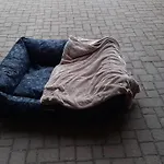 Casa vacanze Il Battito *