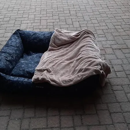 Casa de Férias Il Battito *