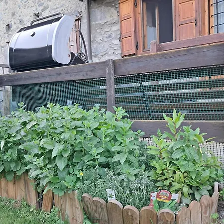 Il Battito *