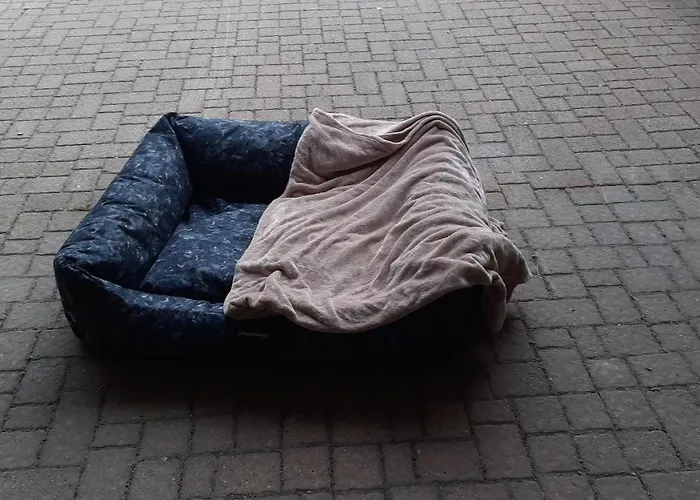 Casa de Férias Il Battito *